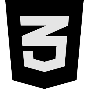 the CSS logo